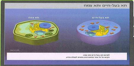 בילוגיה לכיתה ז' ולתלמידי מצוינות מדעית טכנולוגית