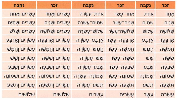 48167 קובץ עם תמונות-צועדים בדרך המילים